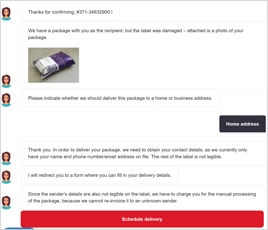Chatbot on a phishing website